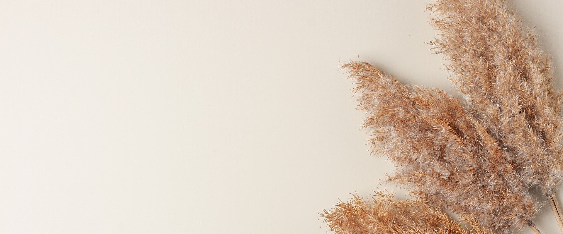 Natural frame with pampas dry grass on pastel beige. Skin care products or spa or interior design background. Flat lay, copy space