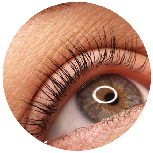 Wimpernlifting